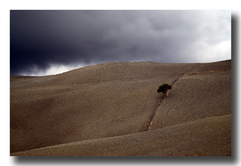 Autunno - Autumn