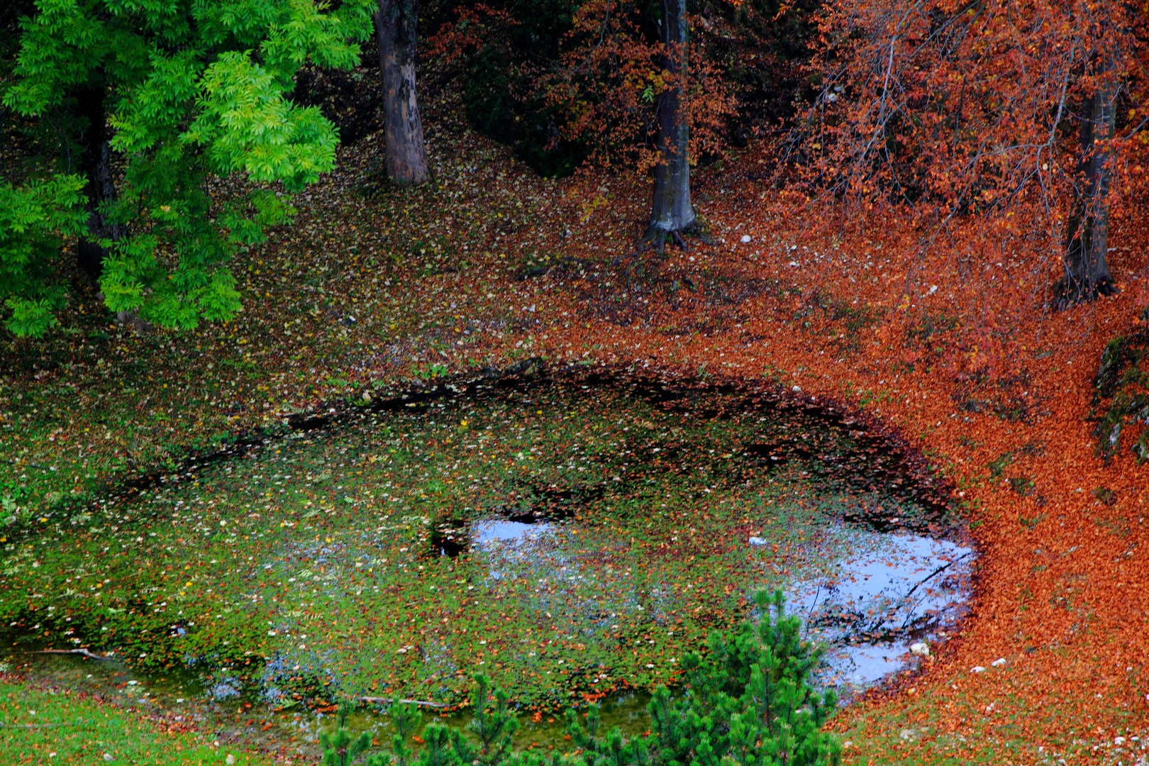 AUTUNNO BAGNATO