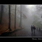 autunno casentinese