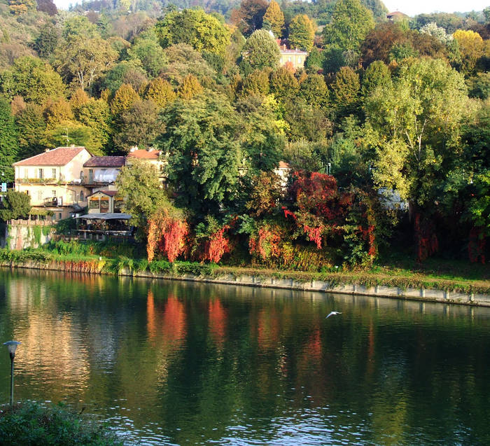 Autunno colorato