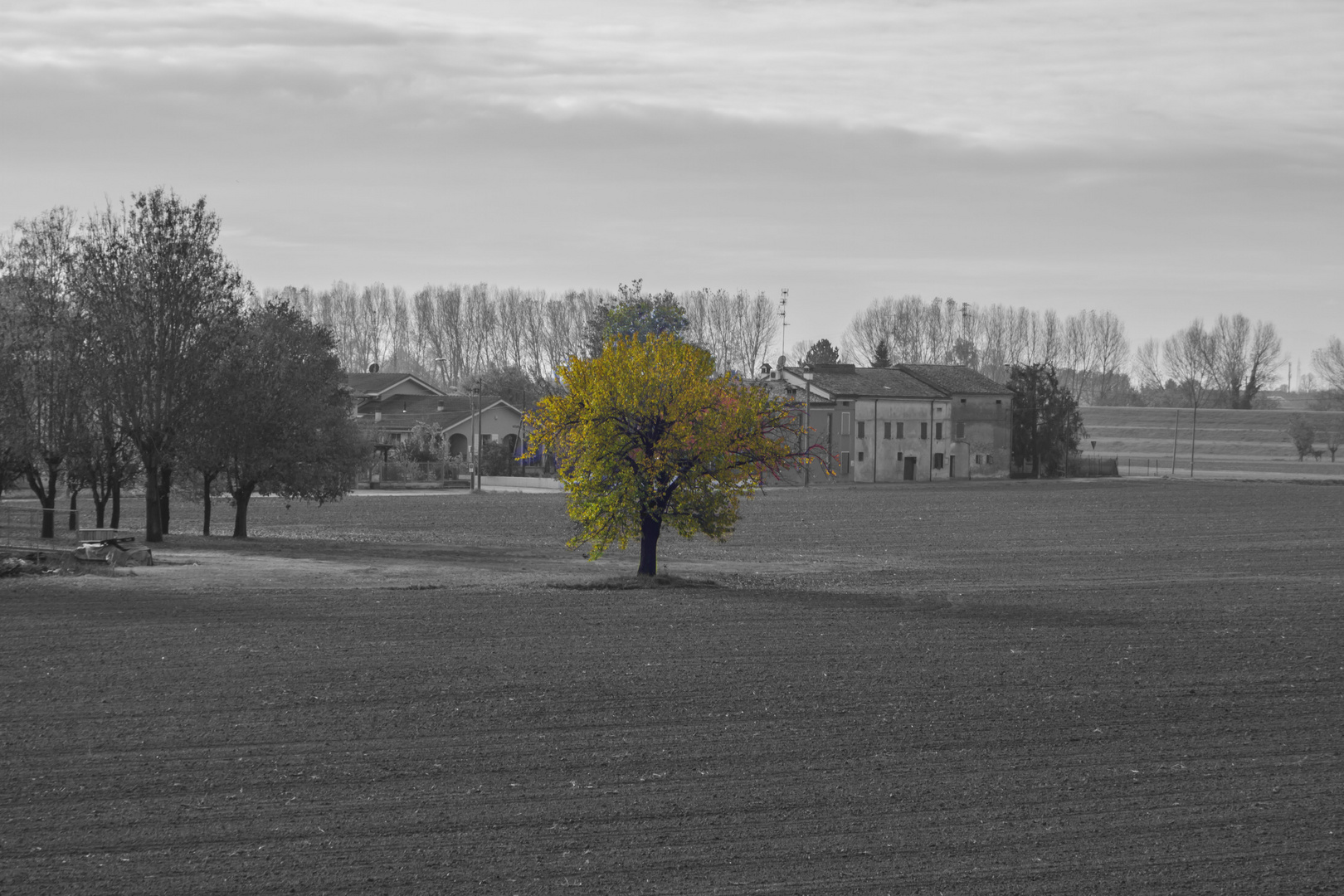 Autunno - Colori in bianco e nero