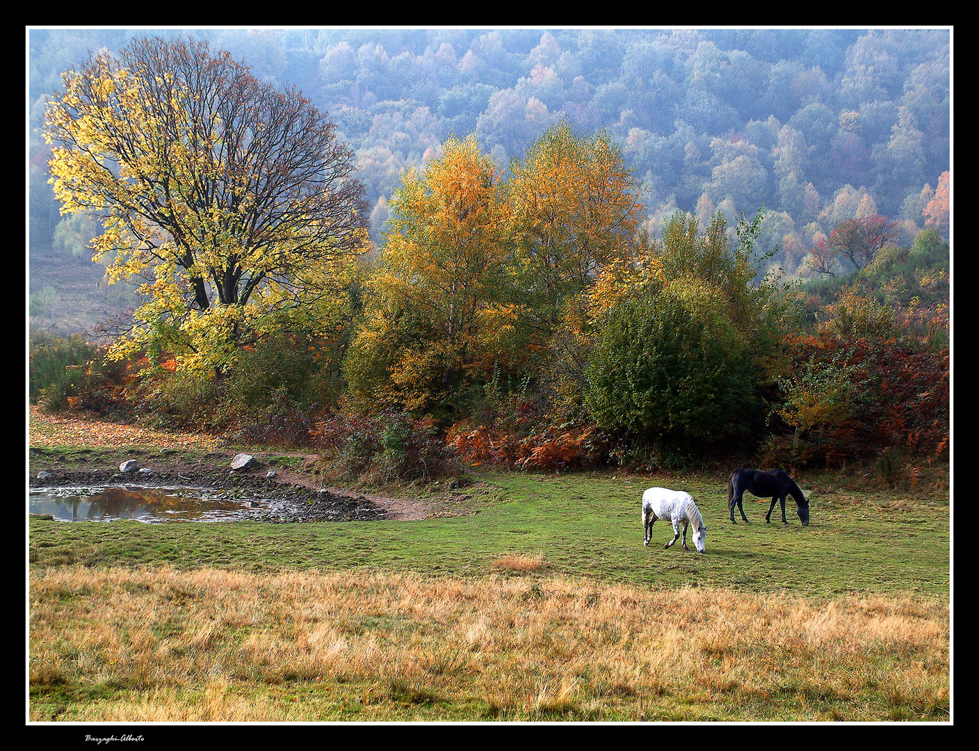 autunno