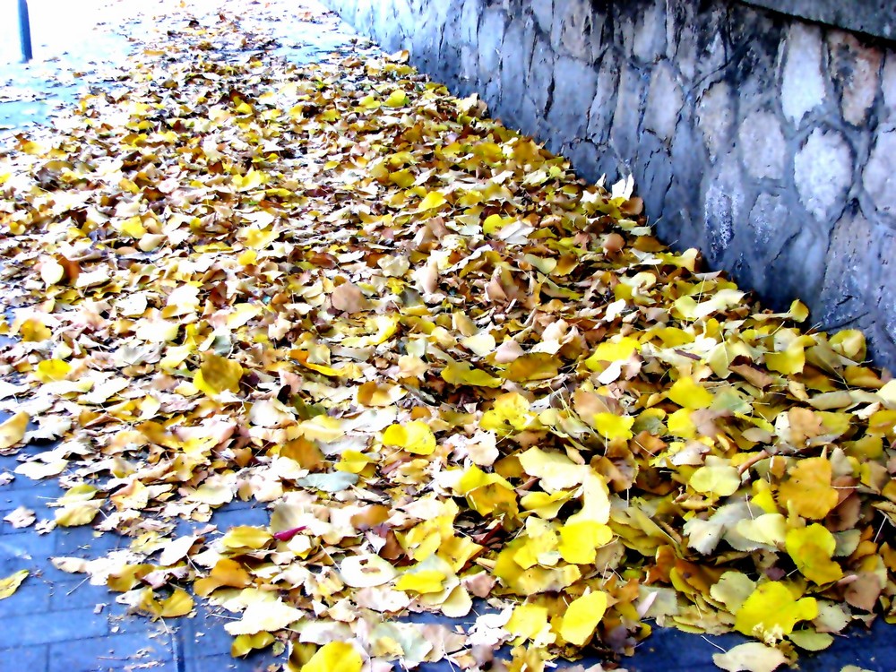 Autunno.