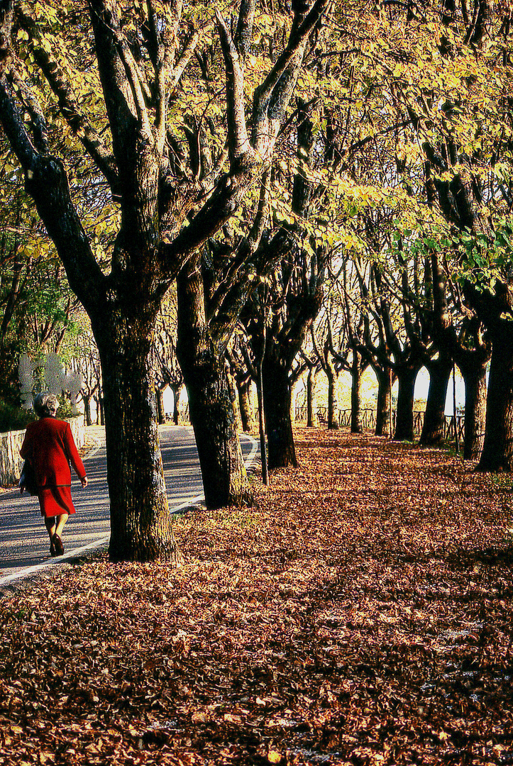 autunno della vita