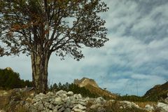 Autunno