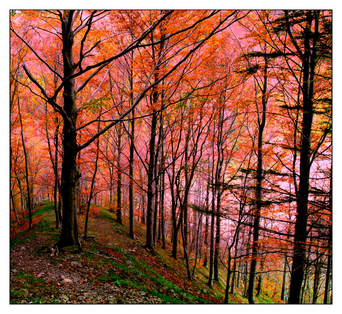 autunno di fuoco