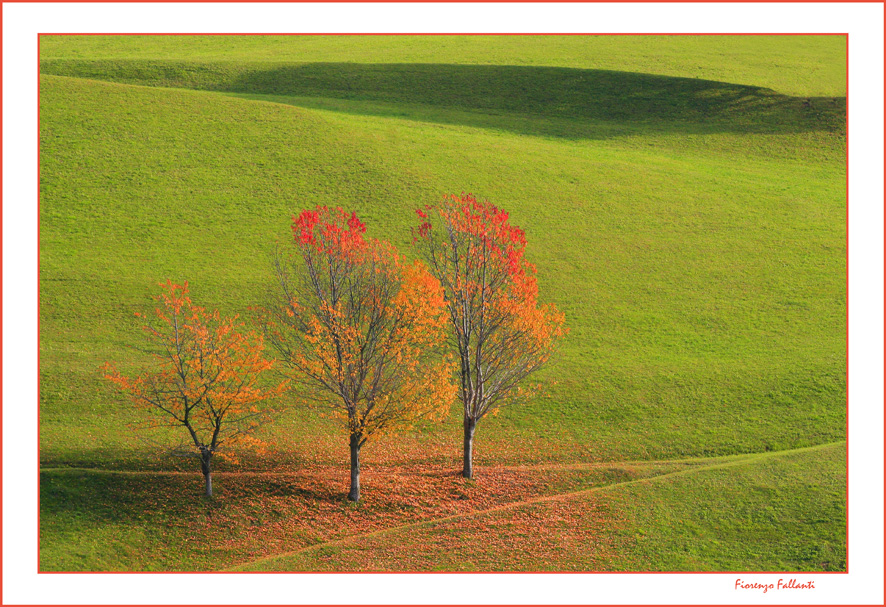 Autunno Dolomitico