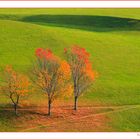 Autunno Dolomitico