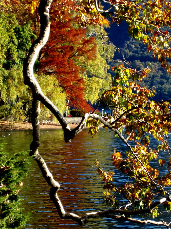 AUTUNNO E LA DANZA DEI COLORI