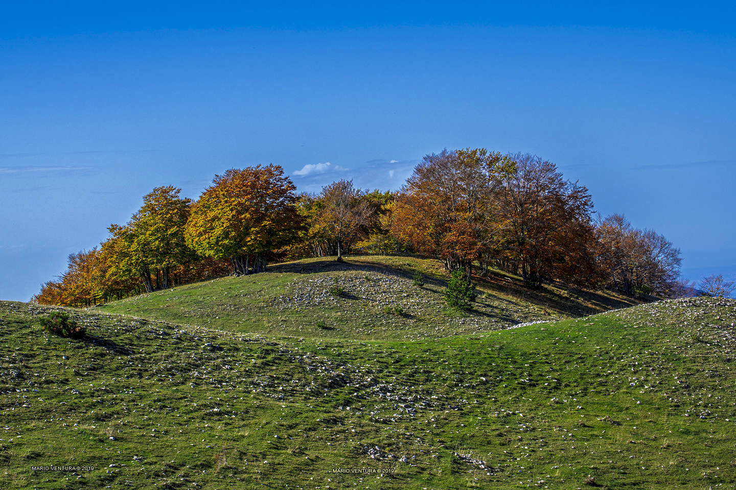 Autunno