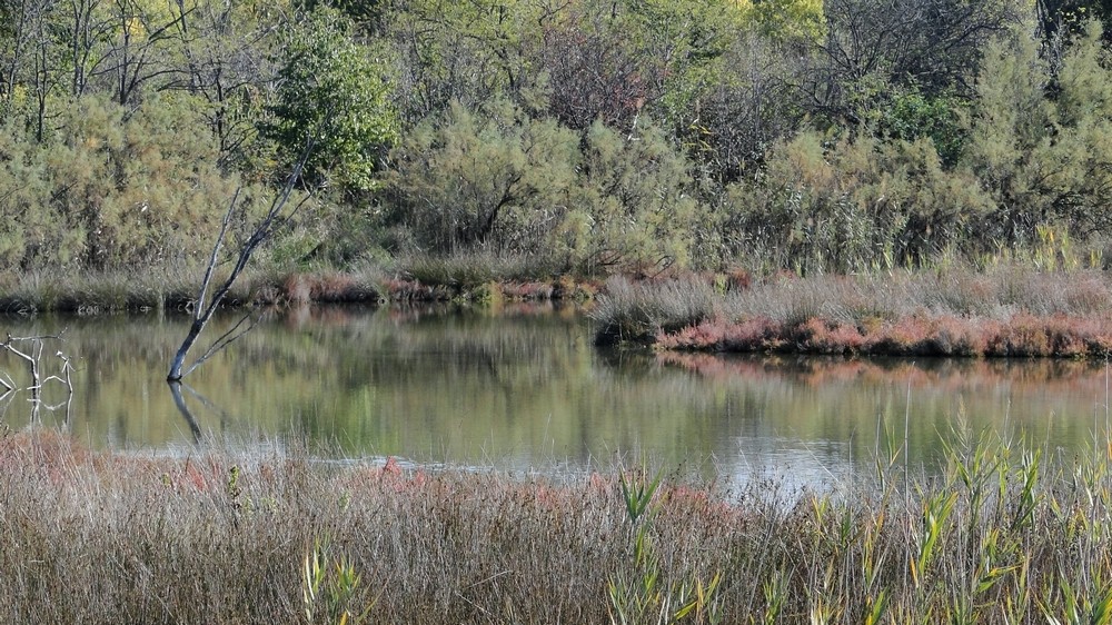 autunno ed estate