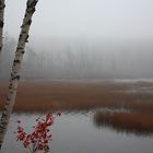 Autunno in Acadia