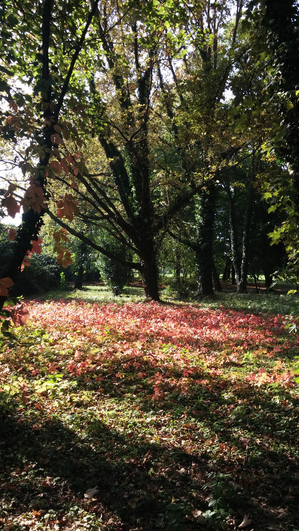 Autunno in arrivo