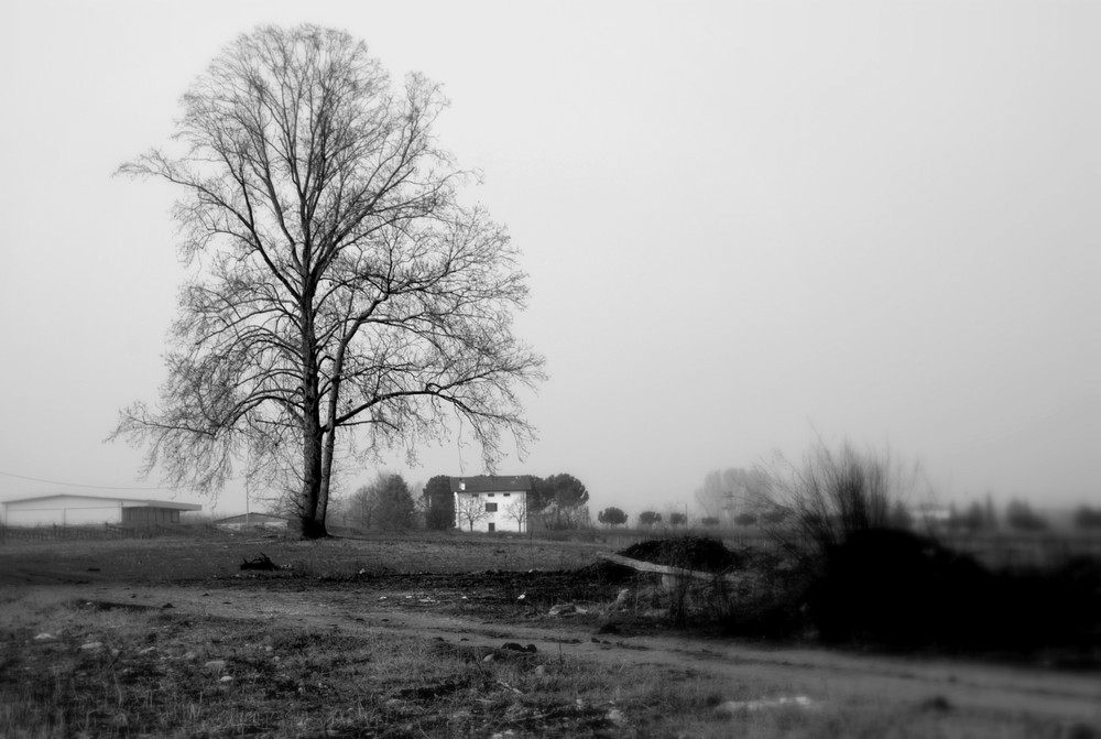 Autunno in campagna