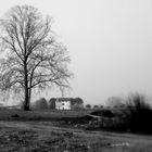 Autunno in campagna