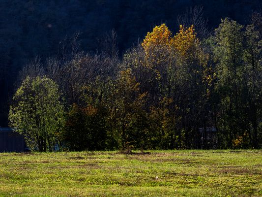 Autunno in campagna