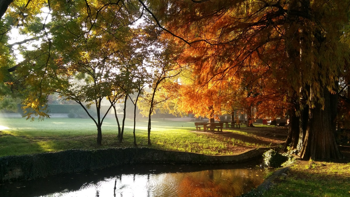 Autunno in città