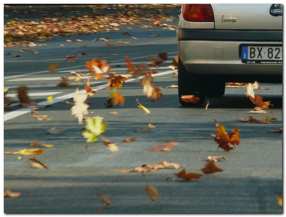 Autunno in città