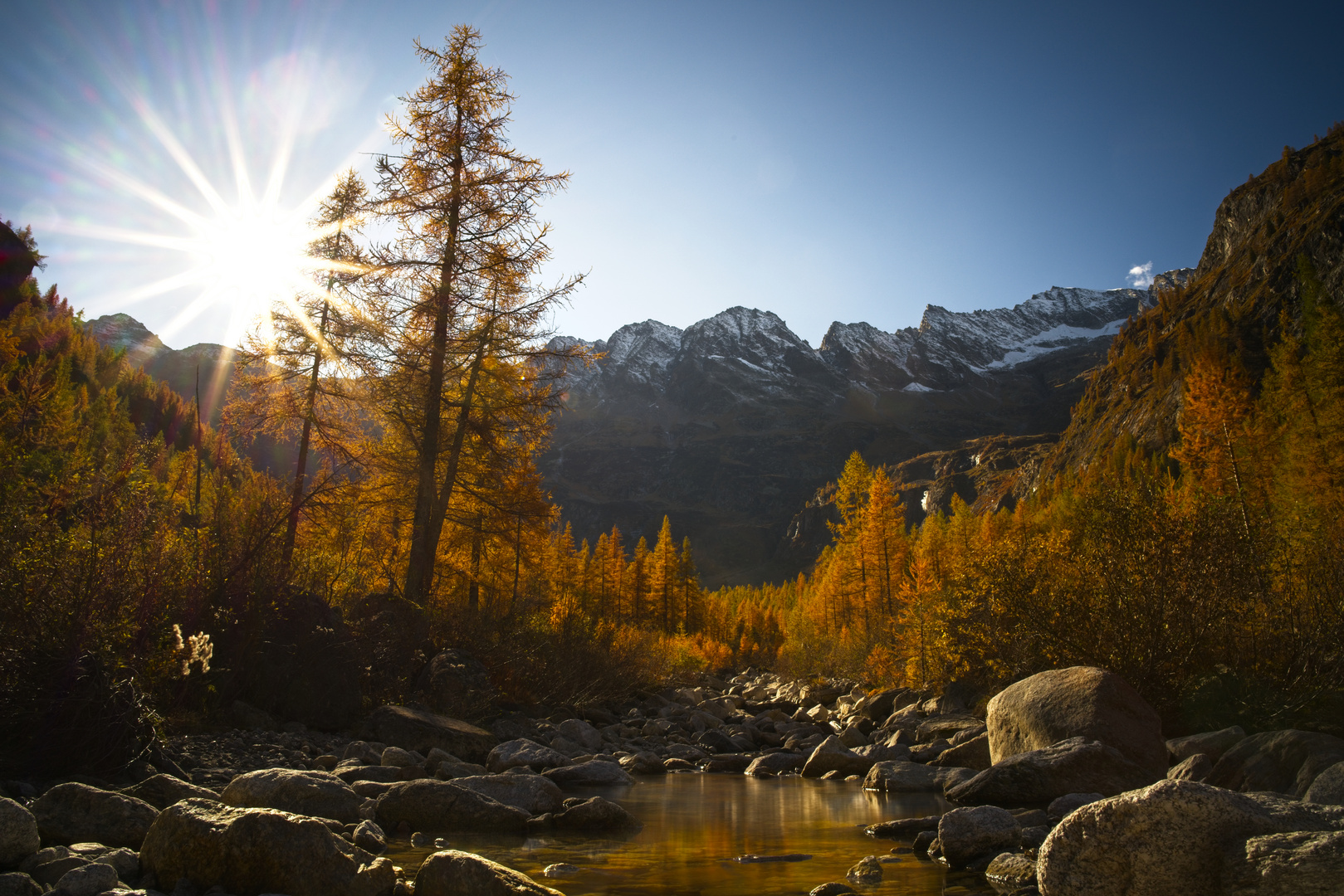 Autunno in controluce