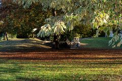 Autunno in giardino