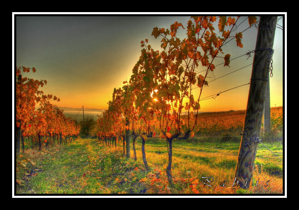 autunno in hdr