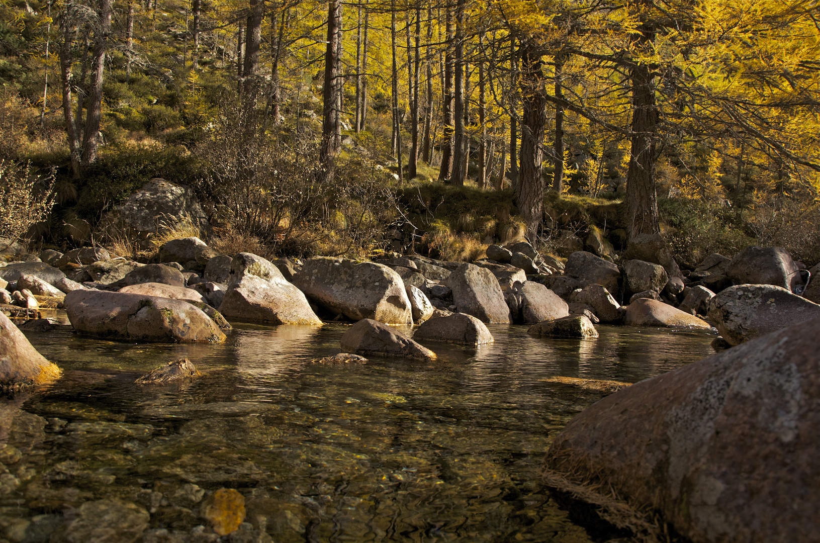 autunno in lariceto