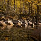 autunno in lariceto