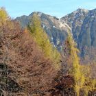 autunno in lessinia 1