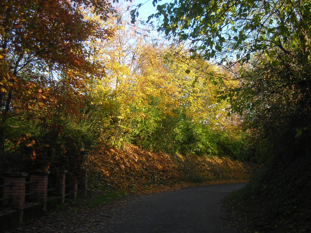 Autunno in Lombardia