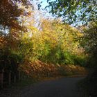 Autunno in Lombardia