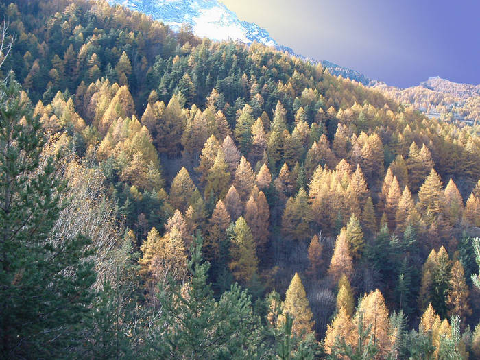 Autunno in montagna