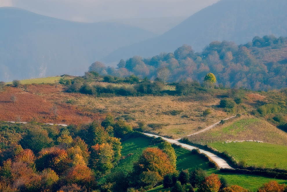 Autunno in Navarra