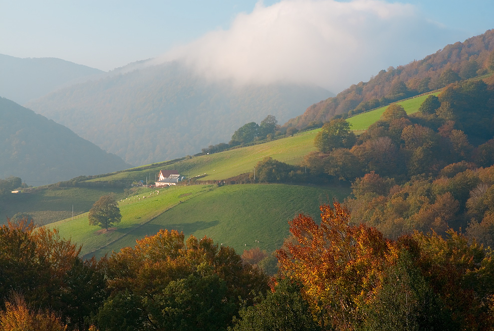 Autunno in Navarra II