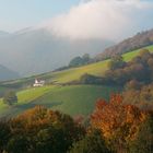 Autunno in Navarra II