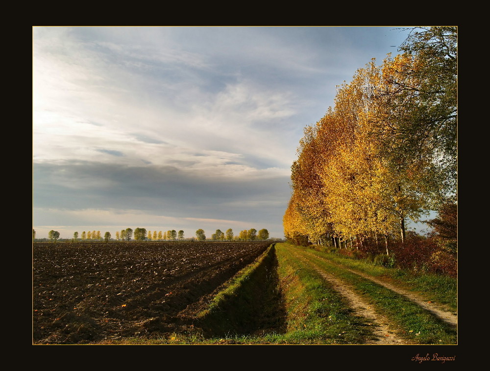 Autunno in pianura