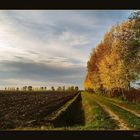 Autunno in pianura