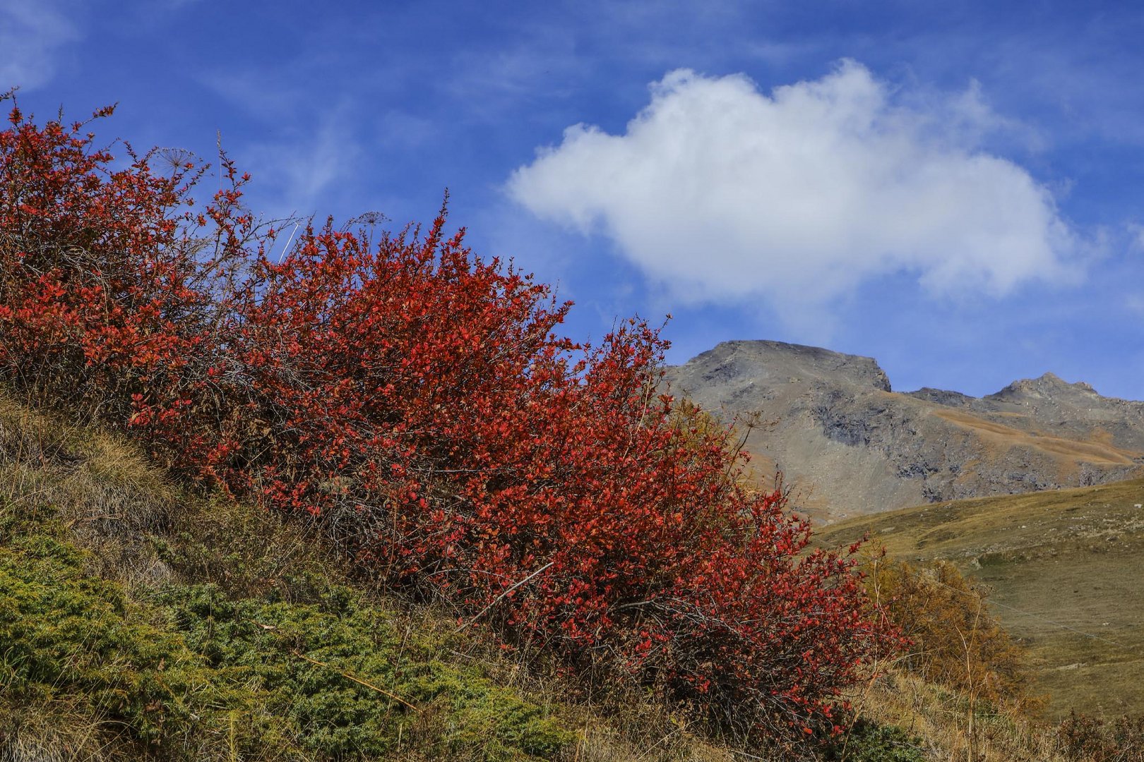 autunno in quota