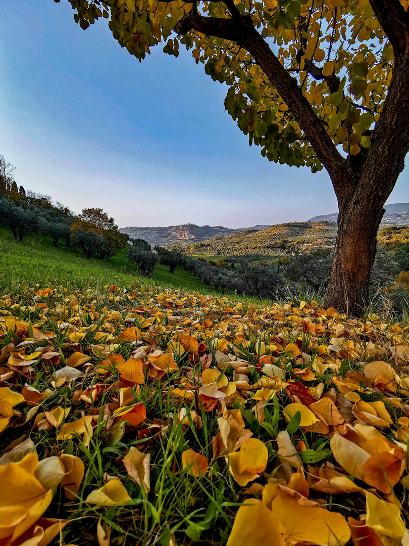 Autunno in Sabina