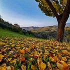 Autunno in Sabina