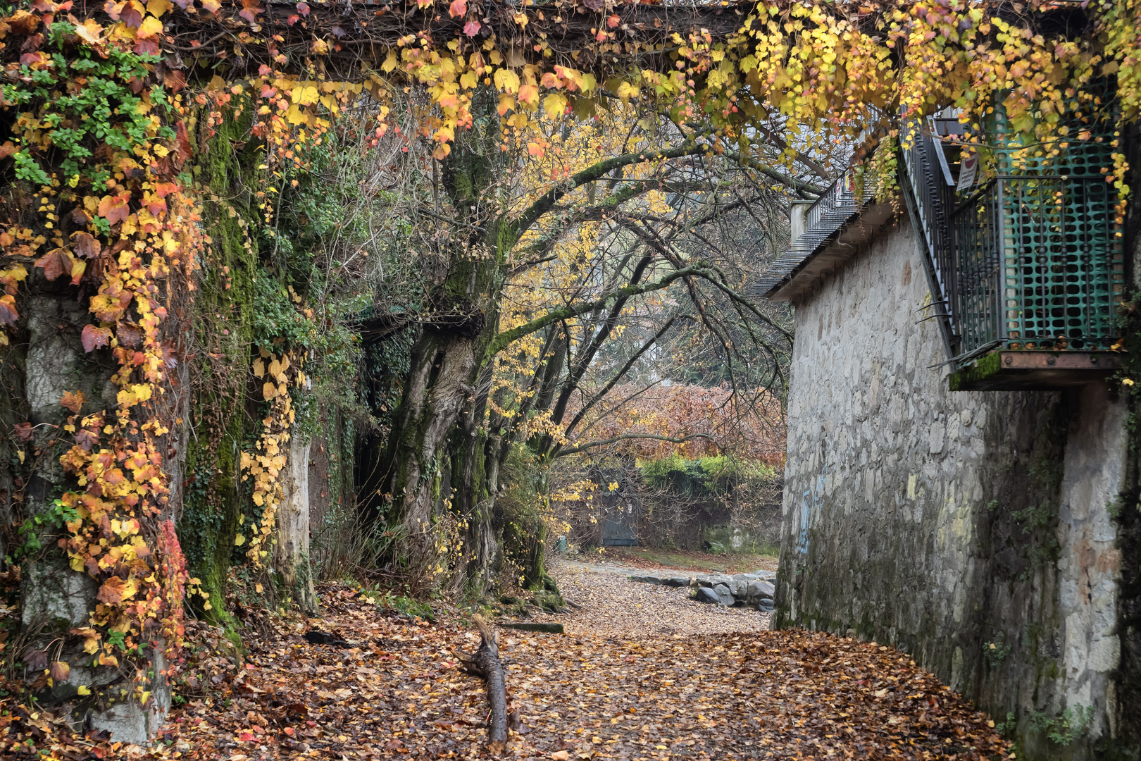 Autunno in terza darsena