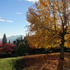 Autunno in Ticino