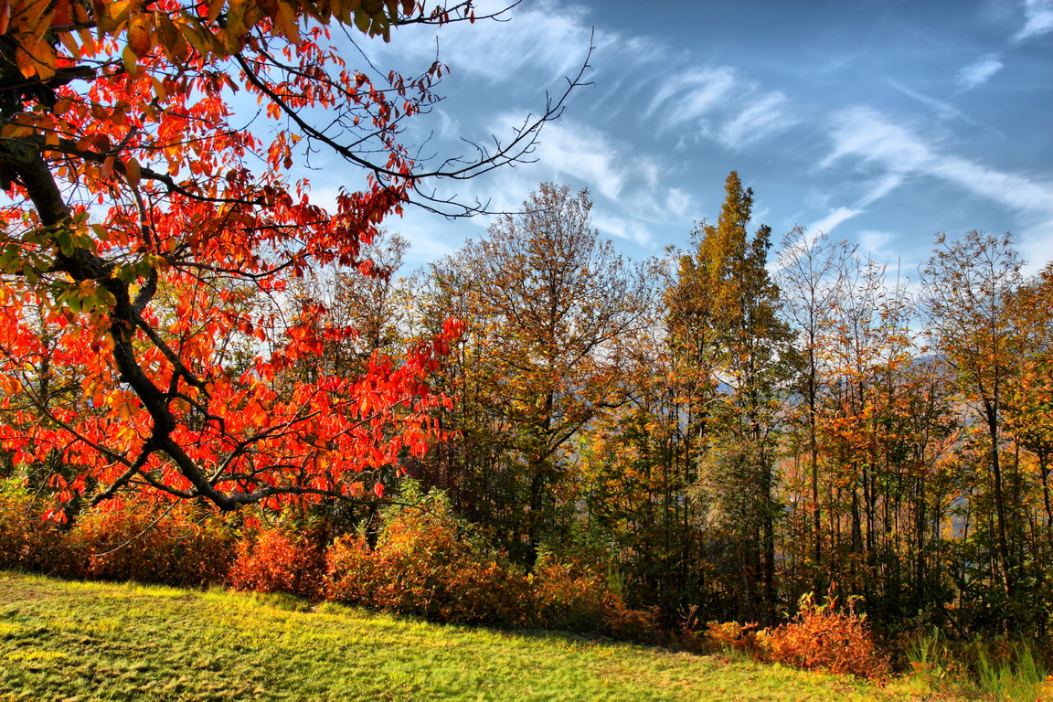 AUTUNNO IN TOSCANA.