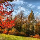 AUTUNNO IN TOSCANA.