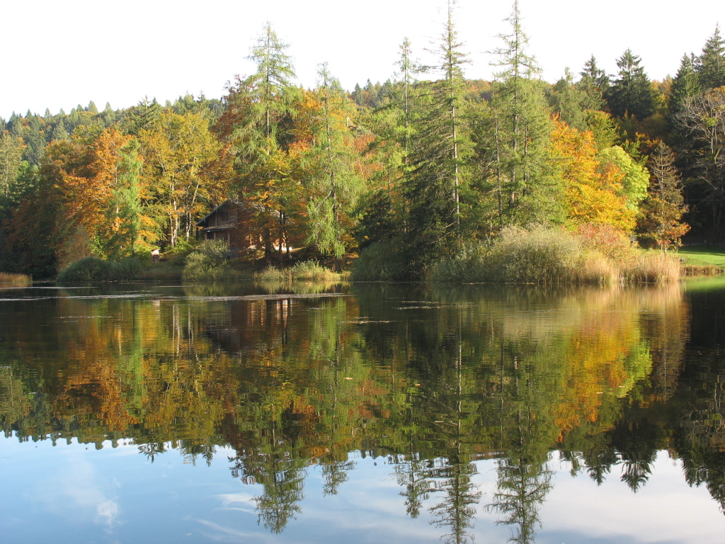 Autunno in Trentino