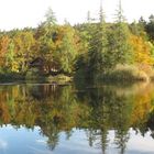 Autunno in Trentino