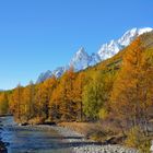 Autunno in val Ferret 