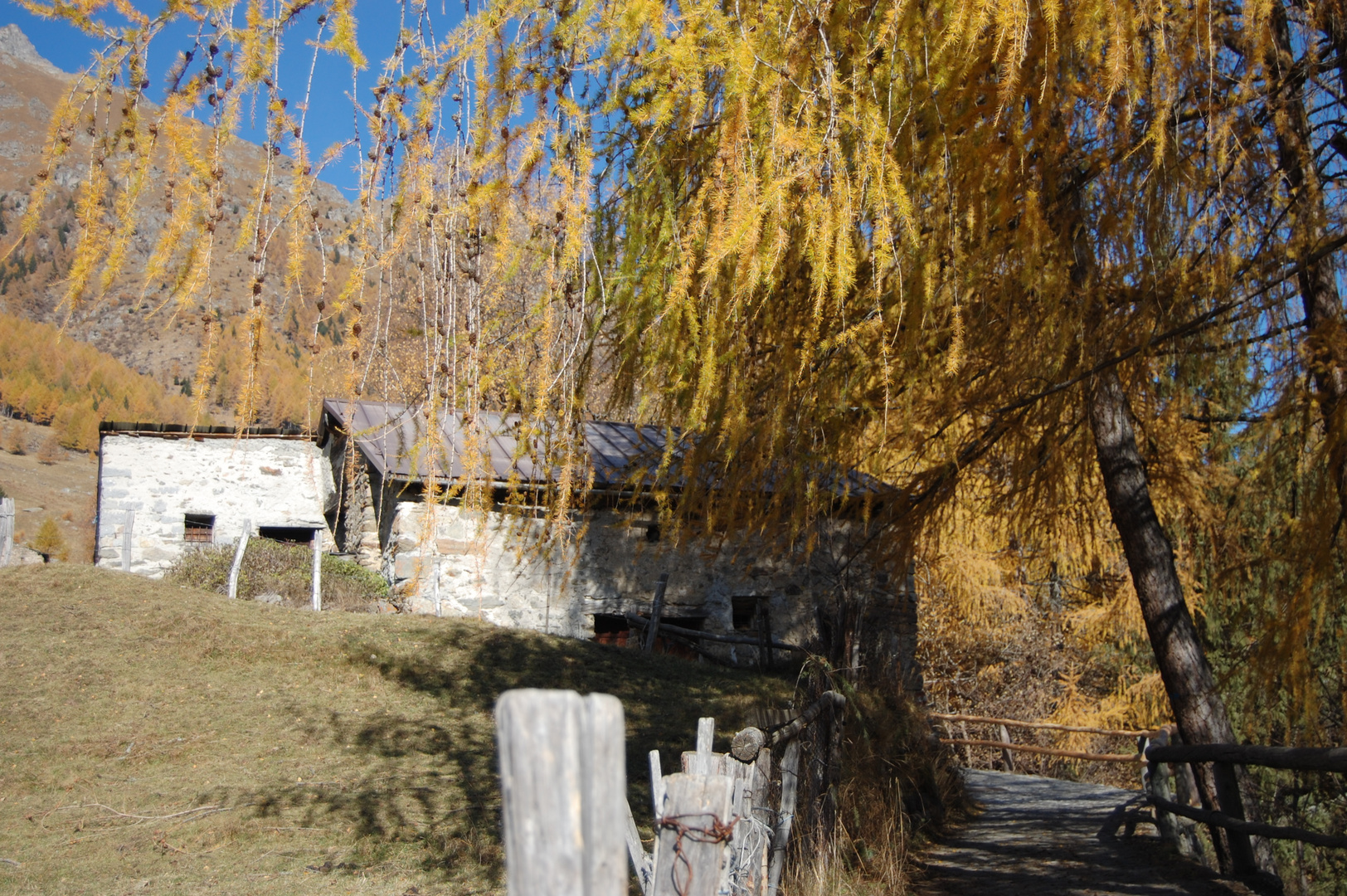 Autunno in Val Grande