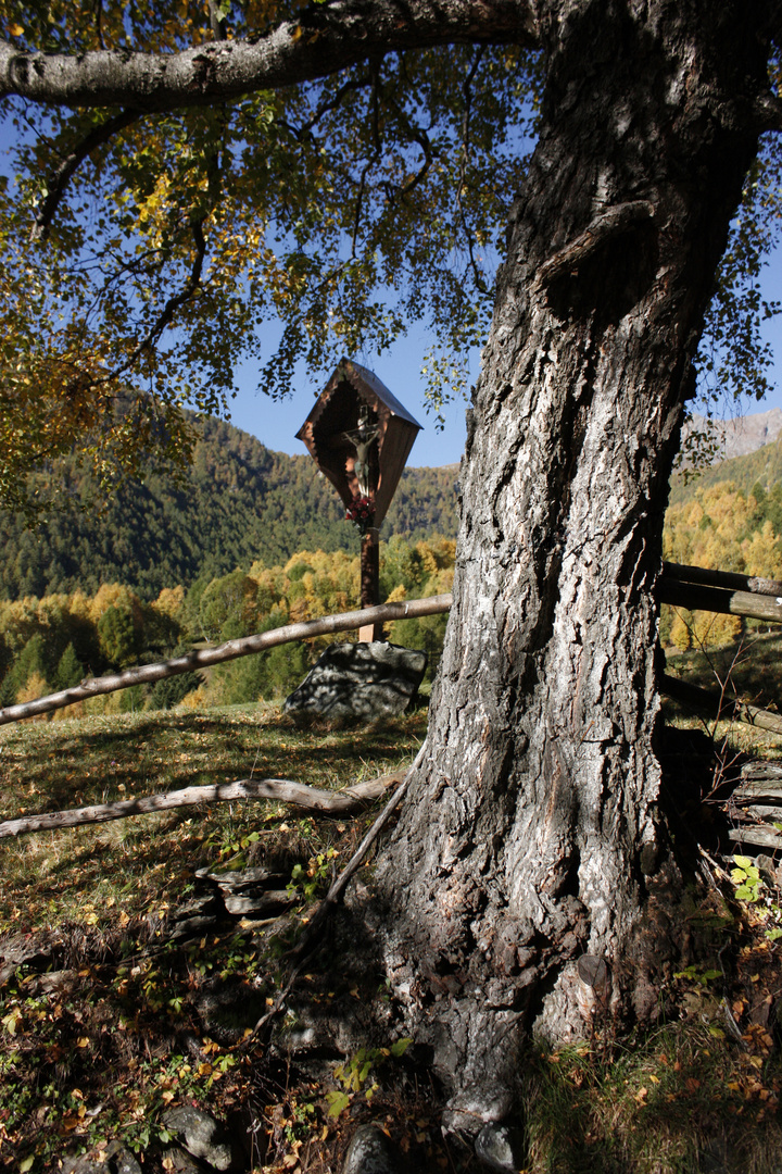 Autunno in Val Grande