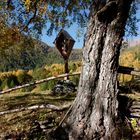 Autunno in Val Grande