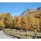 Autunno in Val Grande